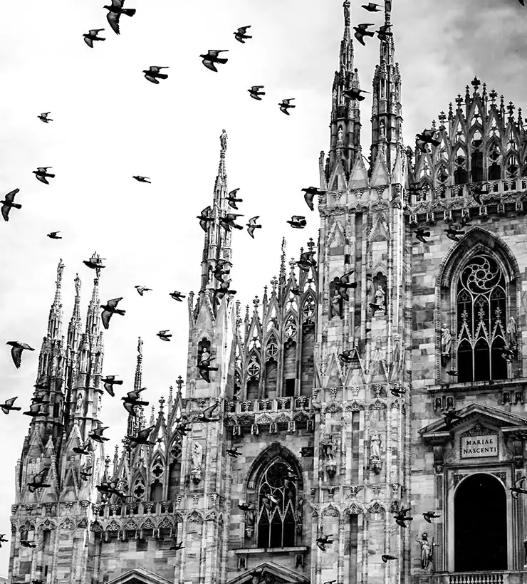 La tua Web Agency nel cuore di Milano